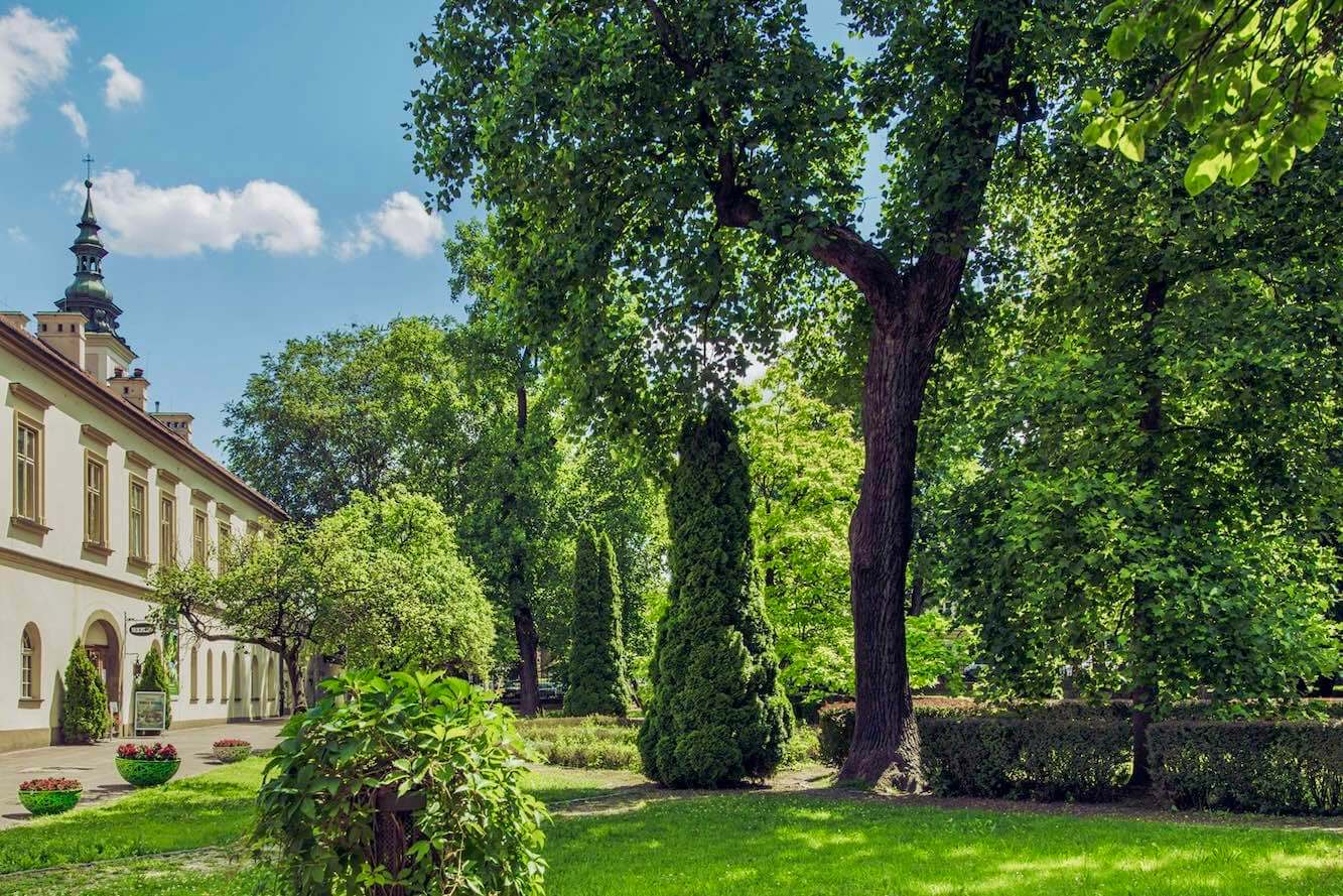 After the tour, relax in the courtyard amidst the greenery of the Saltworks Garden